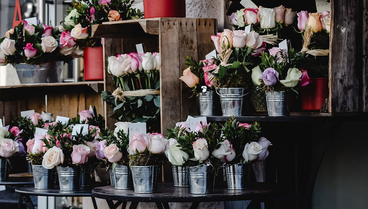 Ipsum cursus vestibulum at interdum Vivamus