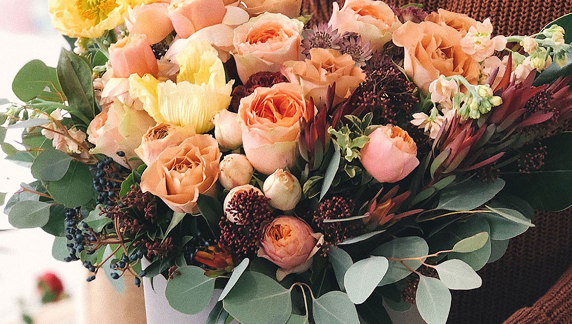 Urna pretium elit mauris cursus Curabitur at elit Vestibulum